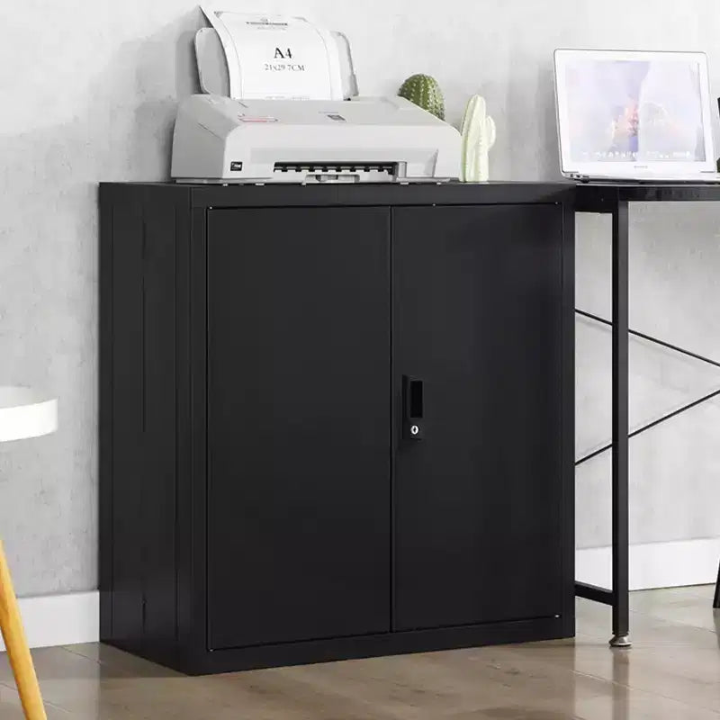Organisateur de dossiers de rangement 36H, armoire en acier avec serrures de porte et 2 étagères réglables, utilisation multi-scènes