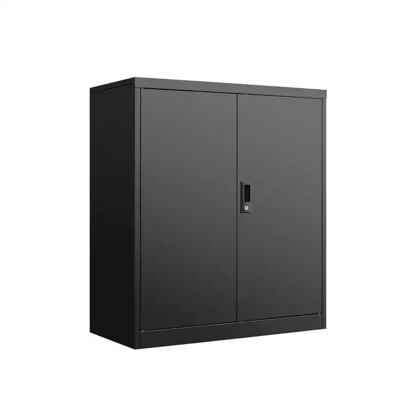 Organisateur de dossiers de rangement 36H, armoire en acier avec serrures de porte et 2 étagères réglables, utilisation multi-scènes